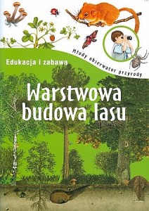 Warstwowa budowa lasu